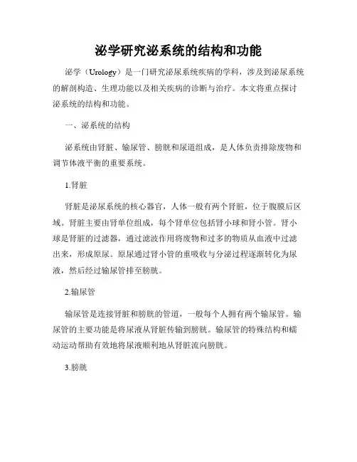 泌学研究泌系统的结构和功能