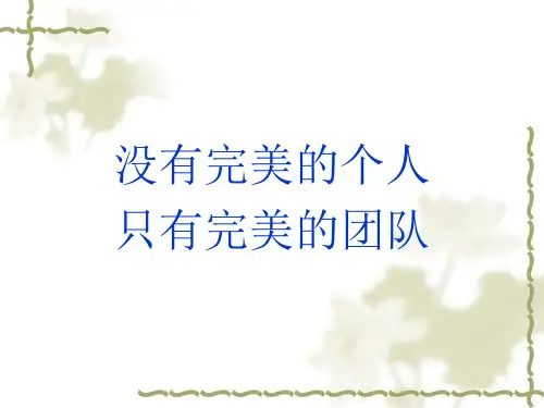 没有完美的个人,只有完美的团队