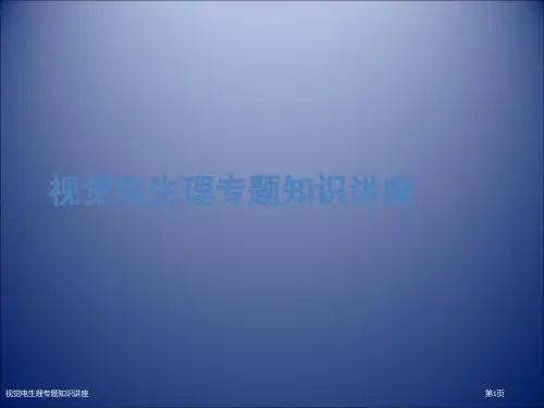 视觉电生理专题知识讲座