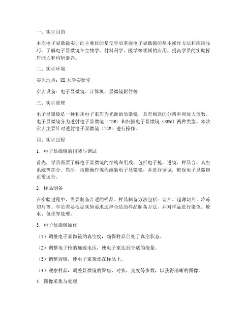 电子显微镜实训报告