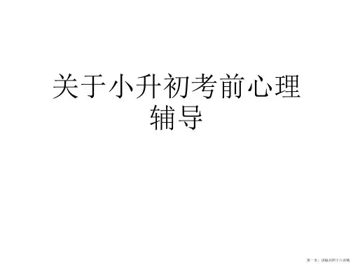 小升初考前心理辅导