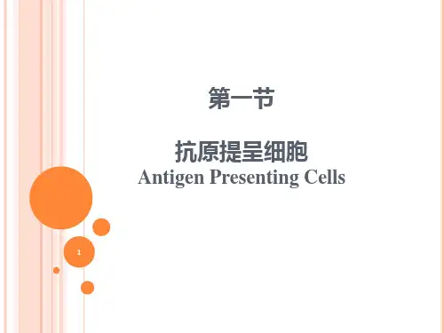 抗原提呈细胞与抗原提呈