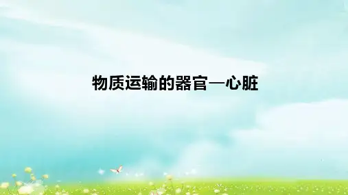 七年级生物【物质运输的器官—心脏】优质课件