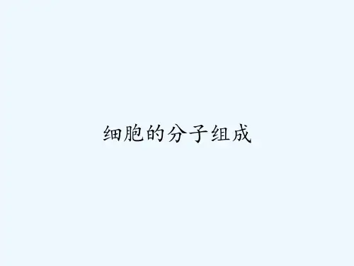 细胞的分子组成ppt