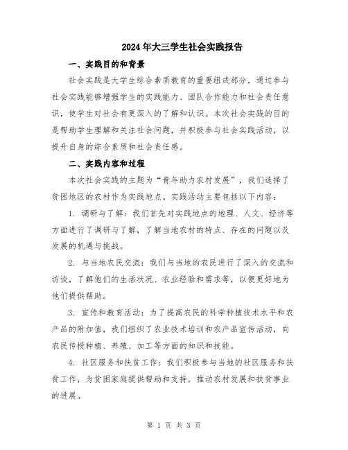 2024年大三学生社会实践报告