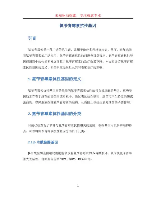 氨苄青霉素抗性基因 (2)