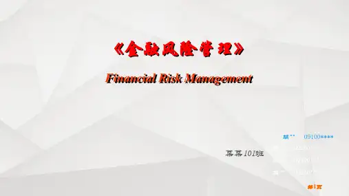 《金融风险管理》课件教程【最终版】