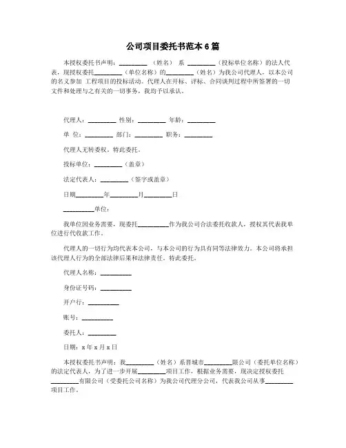 公司项目委托书范本6篇