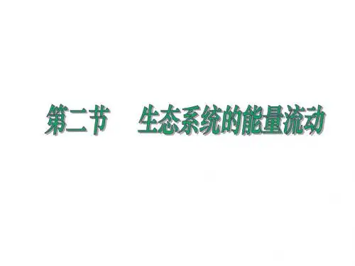 高中生物必修三5.2生态系统的能量流动