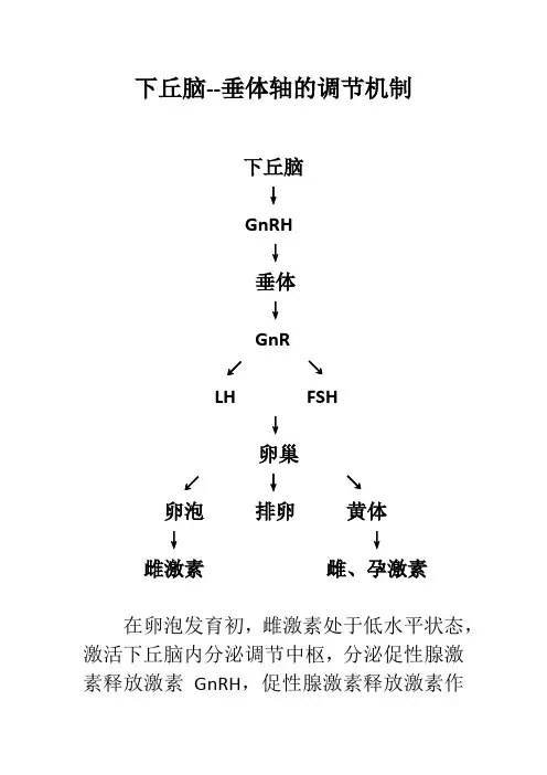 下丘脑--垂体轴的调节机制