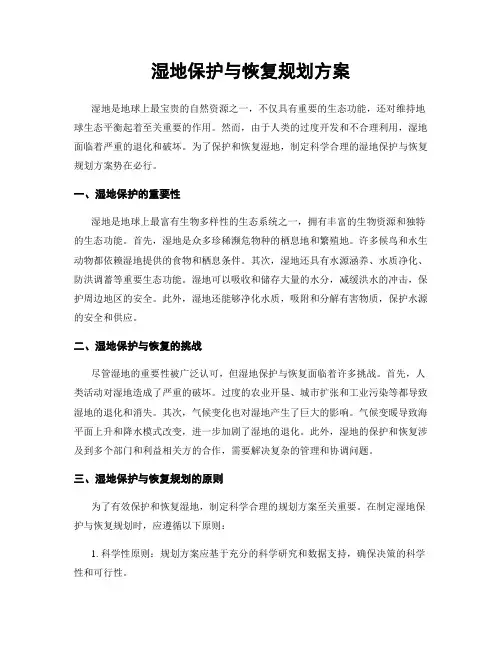 湿地保护与恢复规划方案
