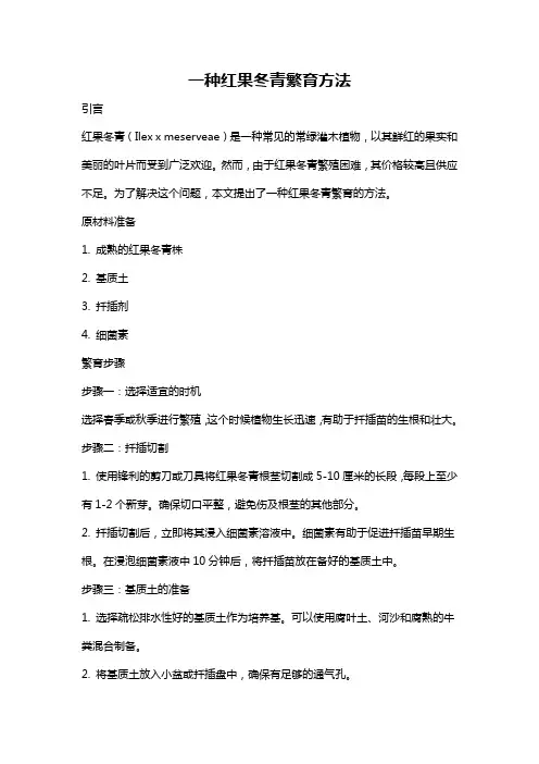 一种红果冬青繁育方法