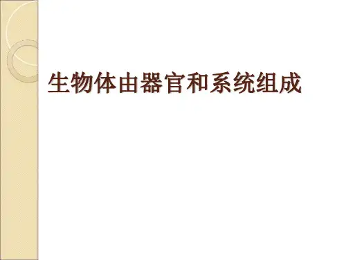 北师大版初中生物七上第二单元4.2《生物体由器官和系统组成》课件(21张)(共21张PPT)