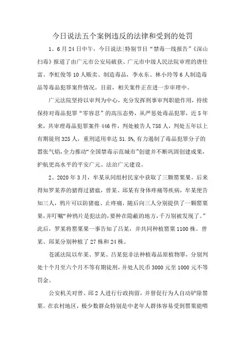 今日说法五个案例违反的法律和受到的处罚