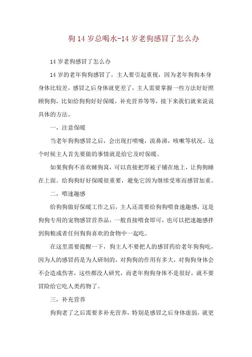 狗14岁总喝水-14岁老狗感冒了怎么办