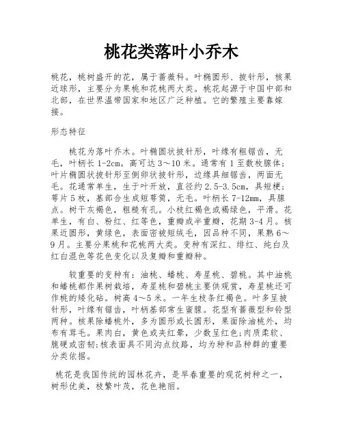桃花类落叶小乔木