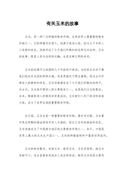 有关玉米的故事