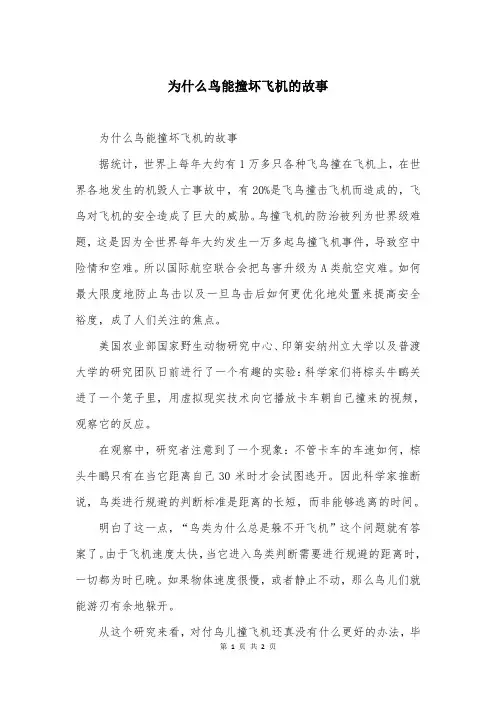 为什么鸟能撞坏飞机的故事
