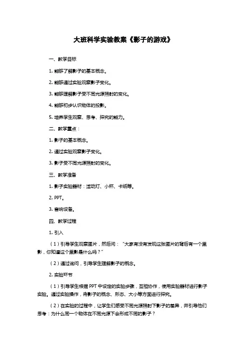 大班科学实验教案《影子的游戏》