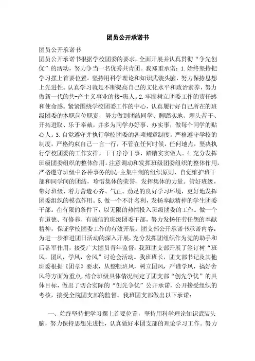 团员公开承诺书（范文）