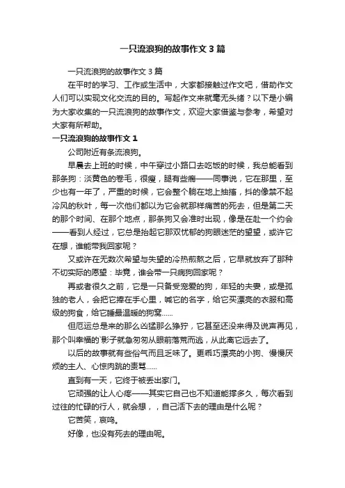一只流浪狗的故事作文3篇