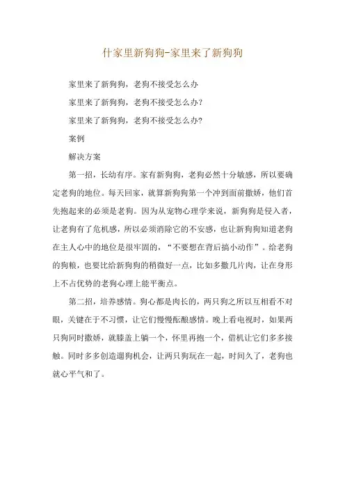 什家里新狗狗-家里来了新狗狗