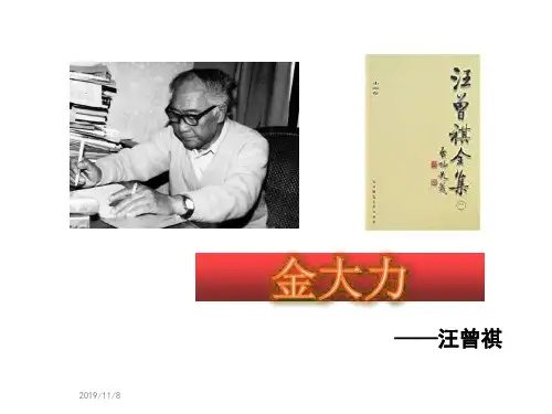 金大力PPT课件