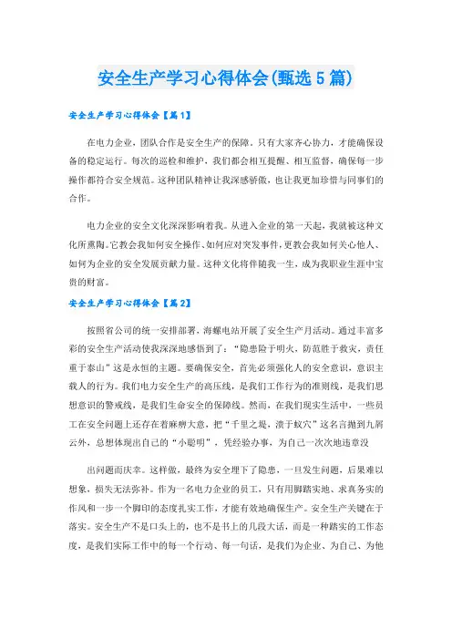 安全生产学习心得体会(甄选5篇).doc