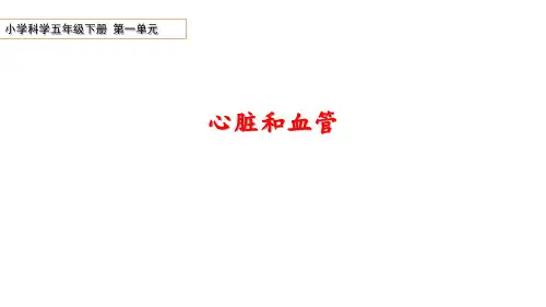 青岛版科学五年级下册第一单元4《心脏和血管》教学课件
