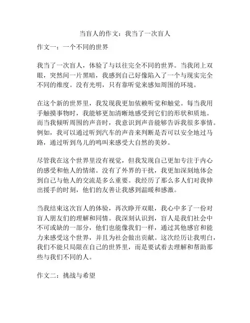 当盲人的作文：我当了一次盲人