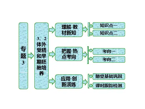 人教版高二生物选修三同步课件-专题3  3.2  体外受精和早期胚胎培养 (共31张PPT) (1)