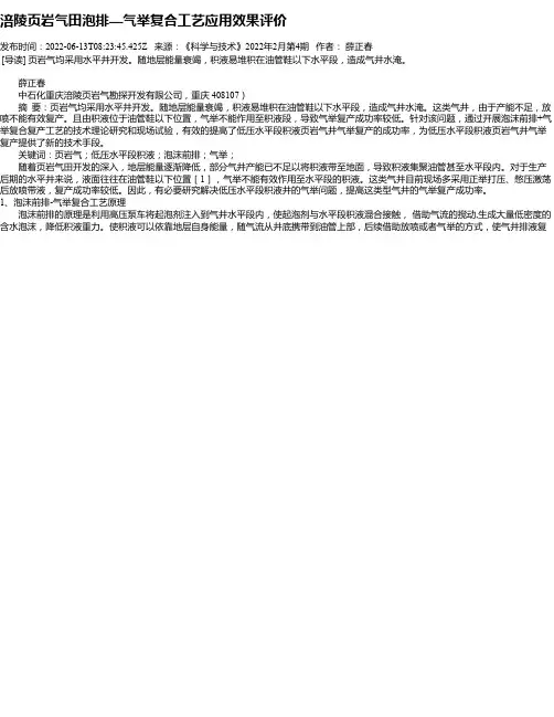 涪陵页岩气田泡排—气举复合工艺应用效果评价