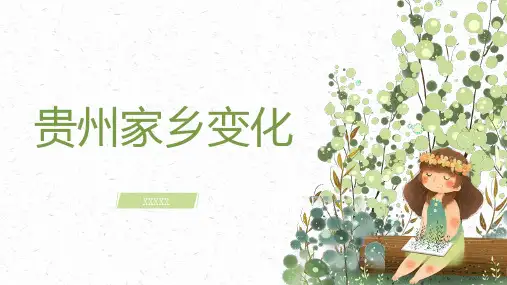 贵州家乡变化
