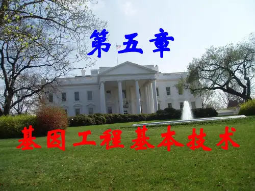 DNA体外重组技术PPT课件