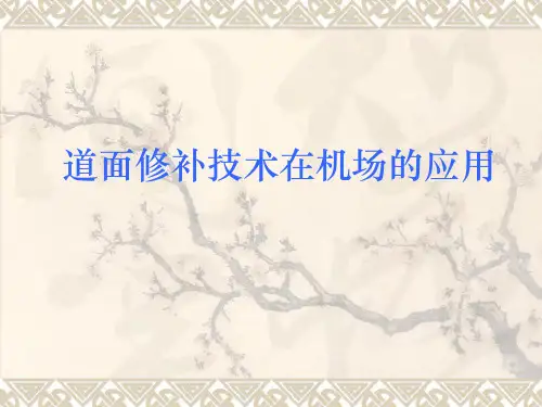 道面修补技术在机场的应用培训课件