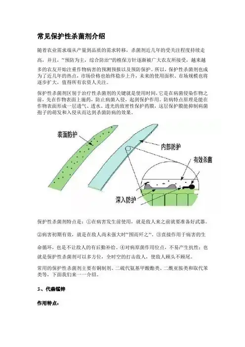 常见保护性杀菌剂介绍