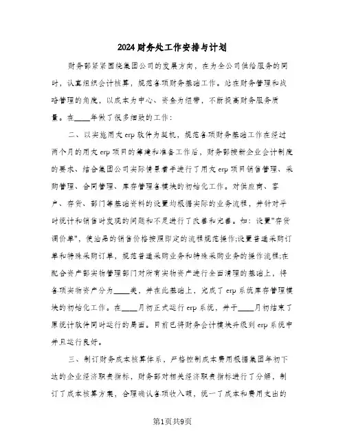 2024财务处工作安排与计划(4篇)