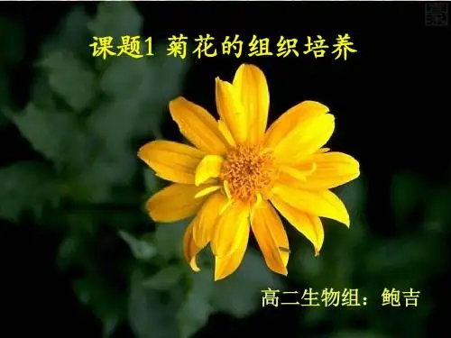 人教版高中生物选修一专题3课题1《菊花的组织培养》 课件 (共45张PPT)