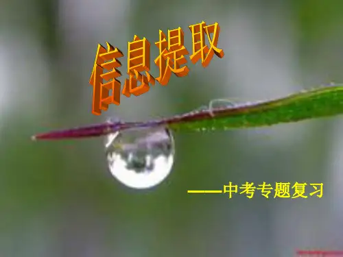 信息提取