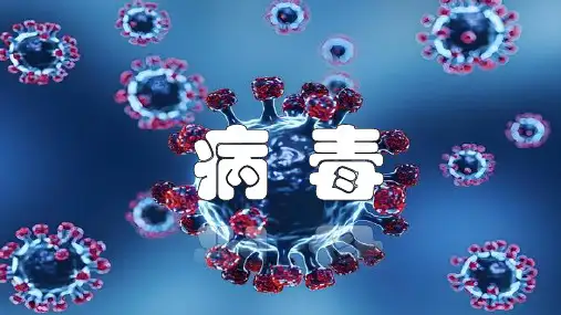 人教版生物七年级上册3.4《病毒》(教学课件)