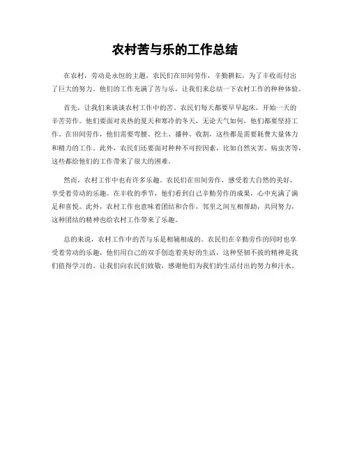 农村苦与乐的工作总结