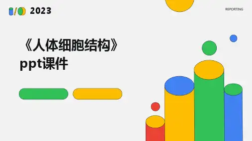 《人体细胞结构》课件