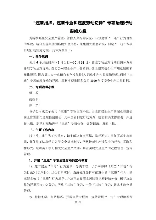 “违章指挥、违章作业和违反劳动纪律”专项治理行动实施方案