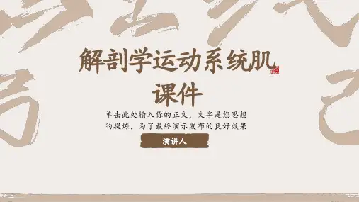 解剖学运动系统肌课件