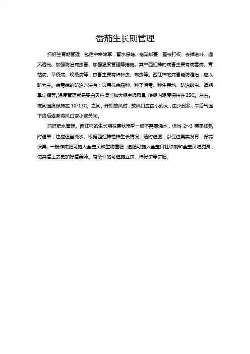 番茄生长期管理