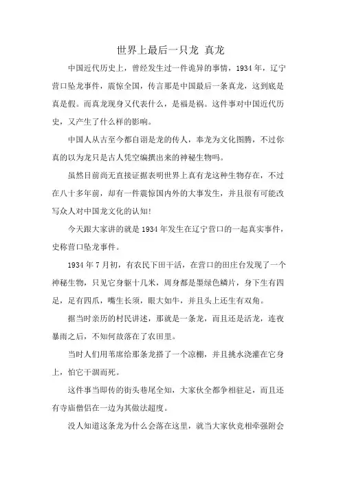 世界上最后一只龙 真龙