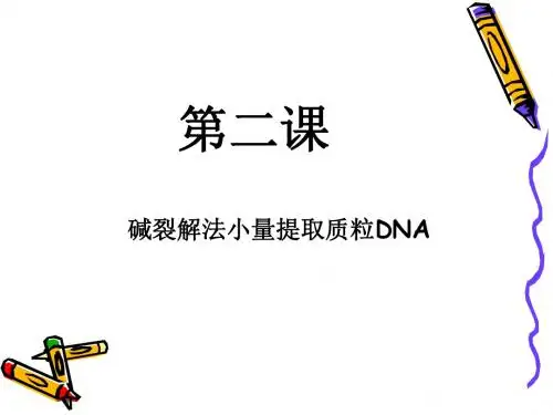 第二课 碱裂解法小量提取质粒DNA