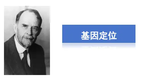 高三生物一轮复习课件：基因定位