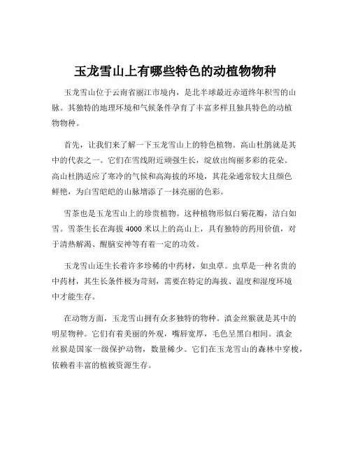 玉龙雪山上有哪些特色的动植物物种