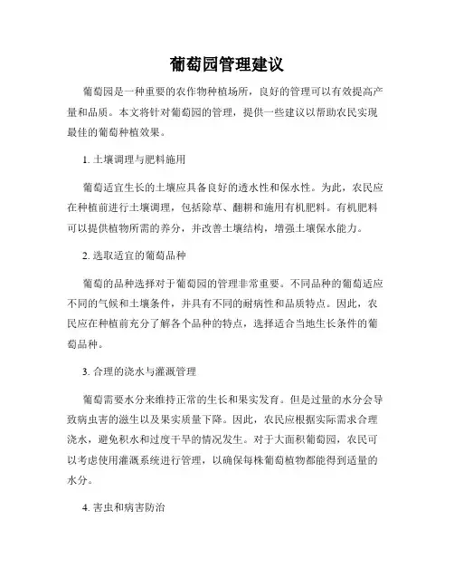 葡萄园管理建议